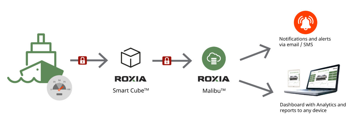 Smart Cube Roxia Malibu